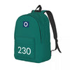 Core Fortnite Llama School Backpack