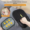 Double-Sided Pet Hair Gloves