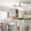 Remote Control LED Ceiling Fan Light
